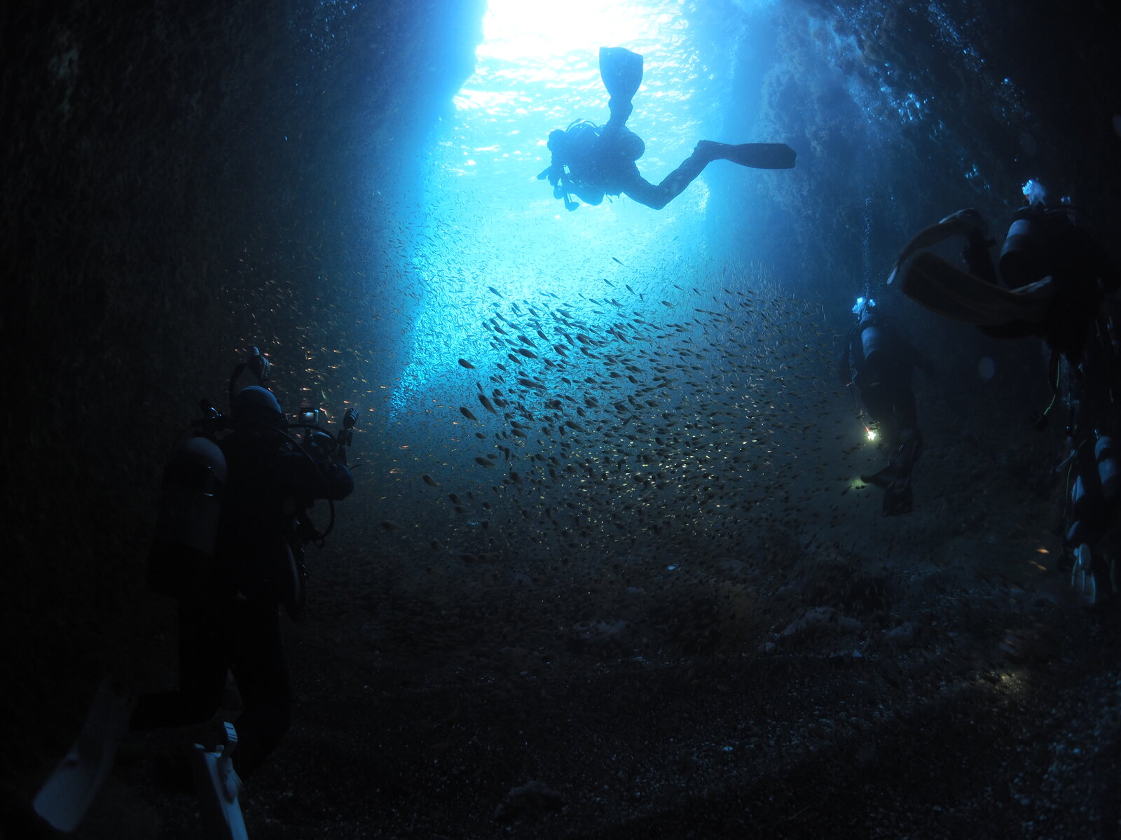 \\ 2025/1/3 初潜り 熱海! // : JAWS STAFF BLOG