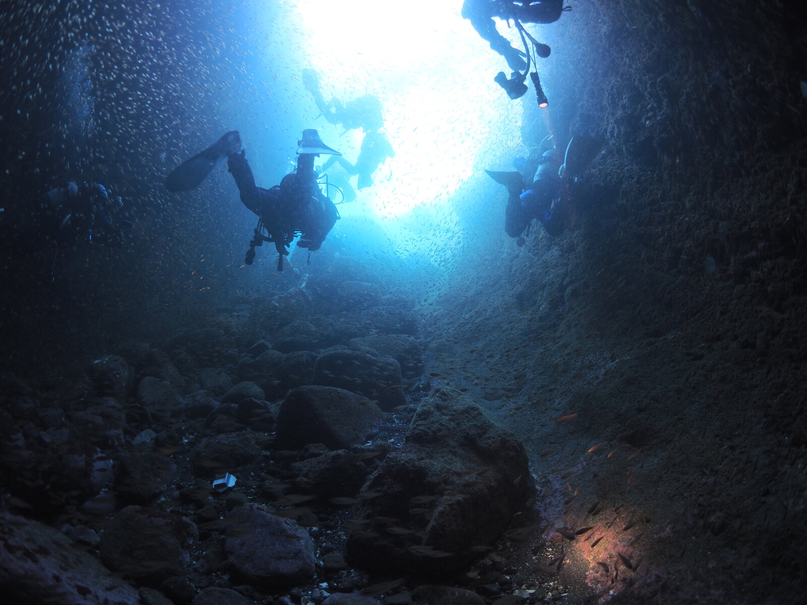 \\ 2025/1/3 初潜り 熱海! // : JAWS STAFF BLOG