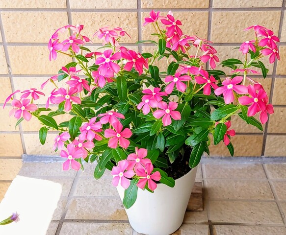 IMG00573~4
