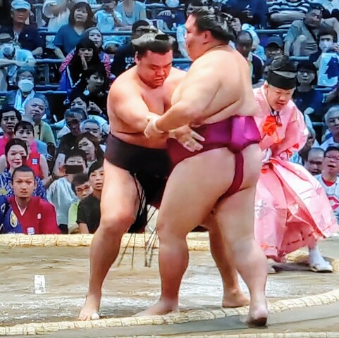 SavedImage_IMG00042_26~2