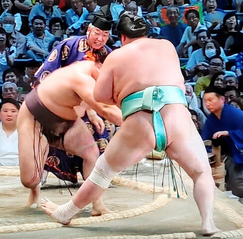 SavedImage_IMG00012_65~2