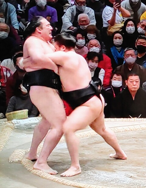 SavedImage_IMG00016_53~2