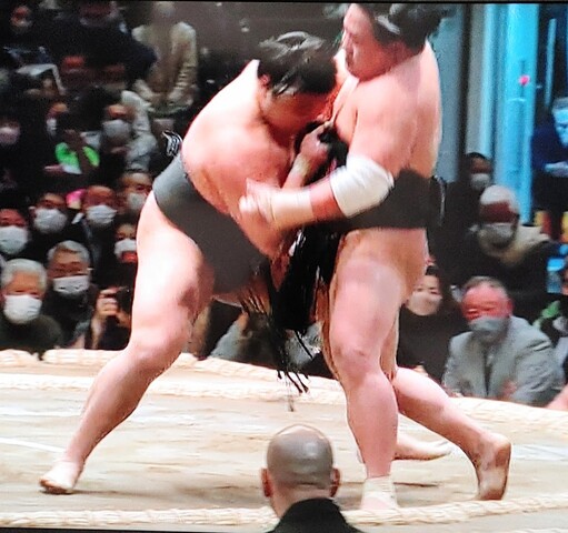 SavedImage_IMG00047_49~2