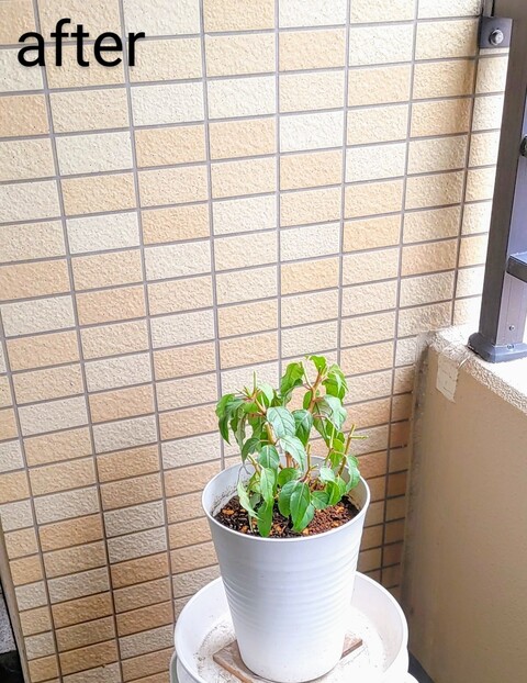 IMG00011~4