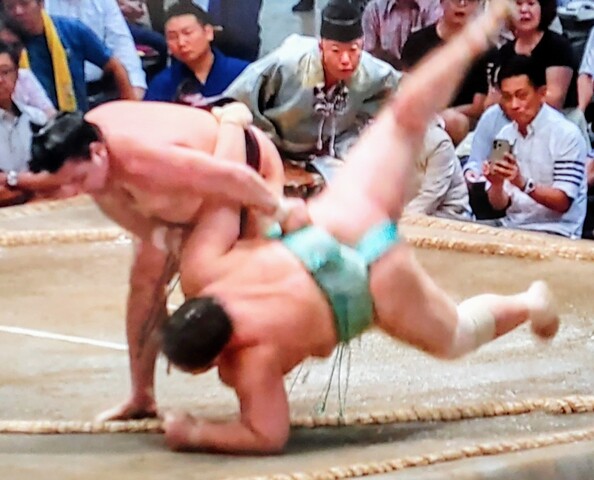 SavedImage_IMG00587_72~2