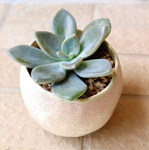 IMG00077~2