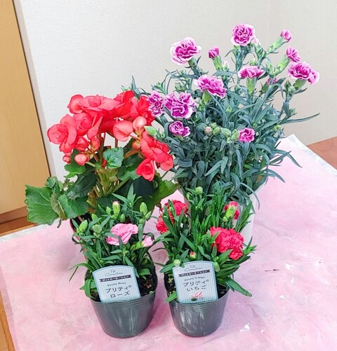IMG00005~3