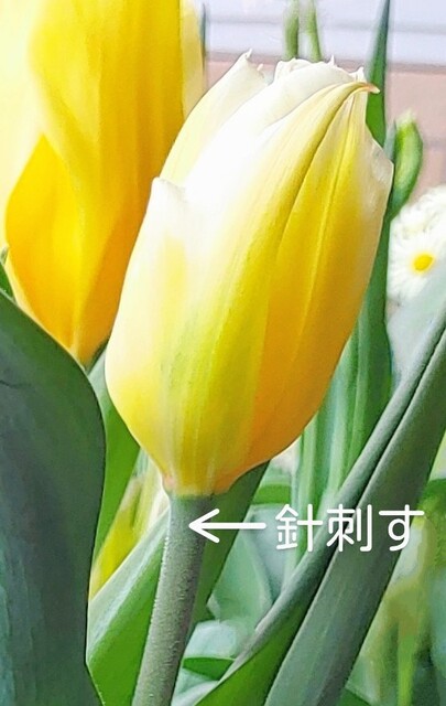 1000327897