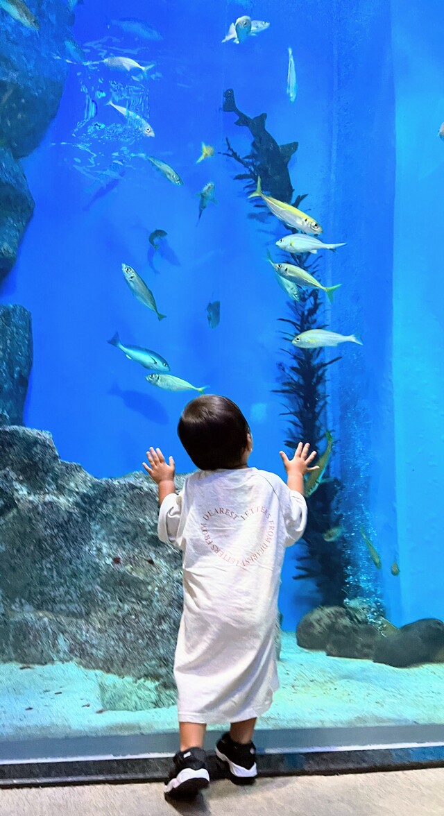 mitene9F256C9E-C65D-4601-9B95-E8E9F8F6B69E~2