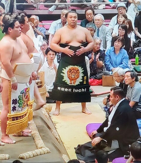 SavedImage_IMG01753_28~3