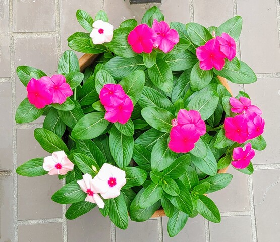 IMG00692~3