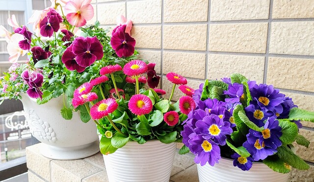 IMG00064~2