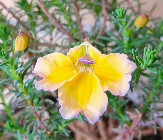 IMG00772~2