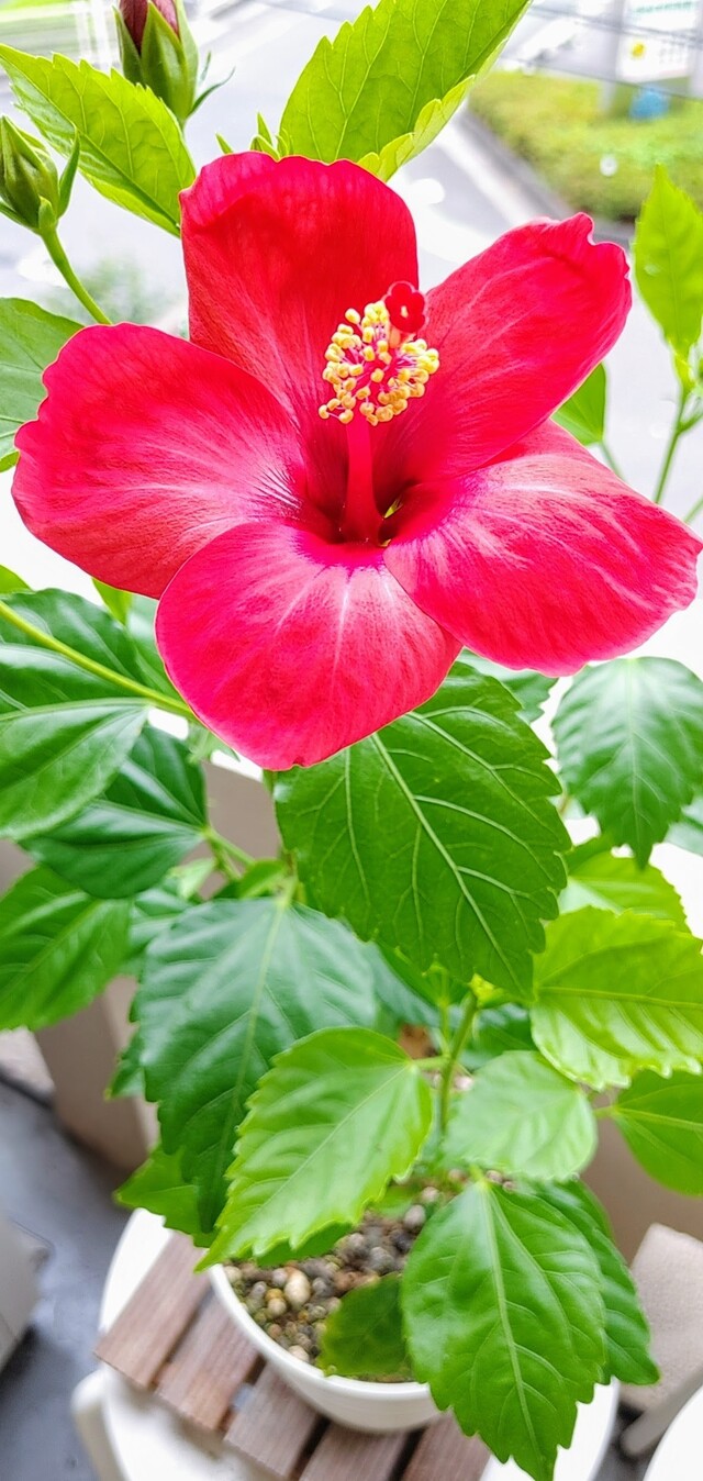 IMG00877~4