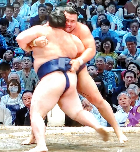 SavedImage_IMG00031_68~2
