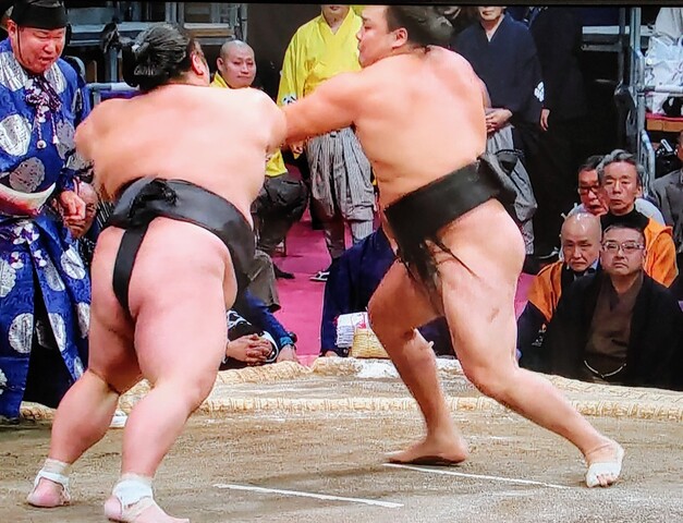 SavedImage_IMG00022_25~2