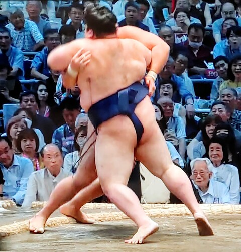 SavedImage_IMG00031_41~2