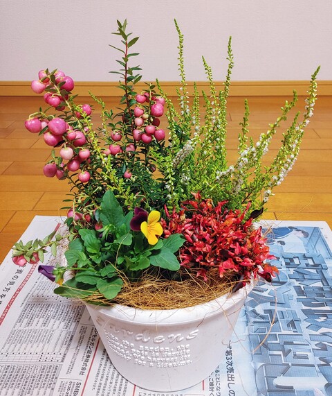 IMG00031~2