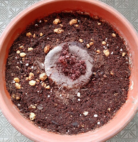 IMG00015~2(1)