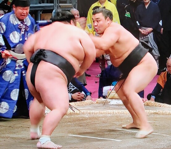 SavedImage_IMG00022_41~2