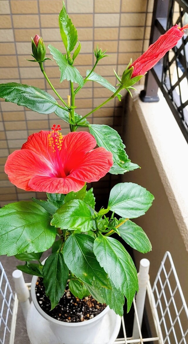 IMG00839~5