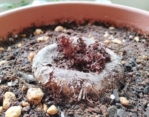 IMG00013~2