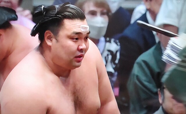 1000627231