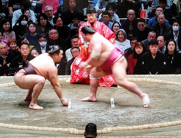 SavedImage_IMG00233_24~2