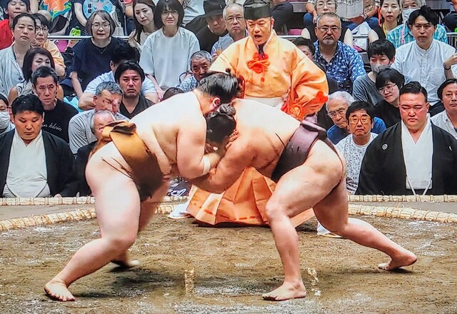 SavedImage_IMG01740_47~3