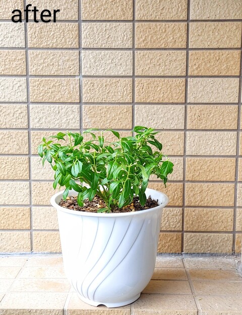 IMG00158~3