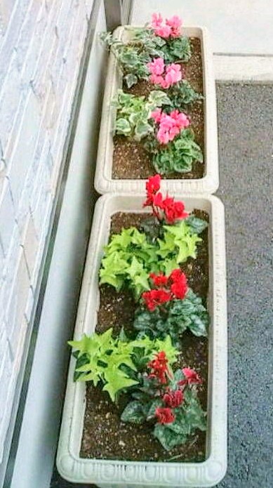 2011年11月スタート