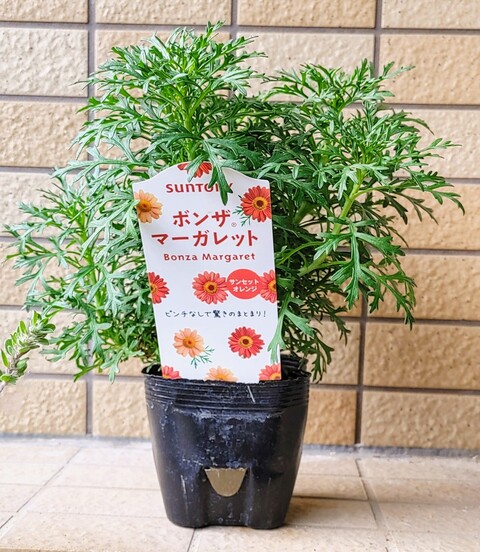 IMG00836~3