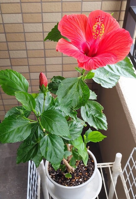 IMG00836~5