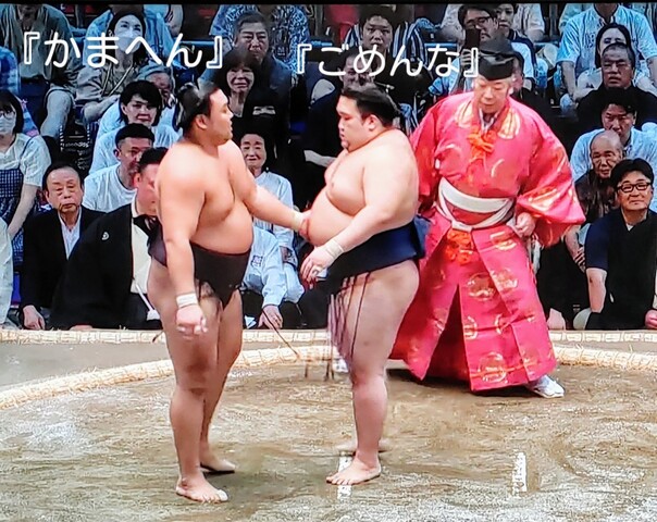 SavedImage_IMG00028_01~3