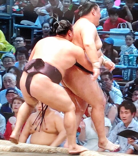 SavedImage_IMG00088_76~2
