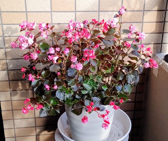 IMG00260~3