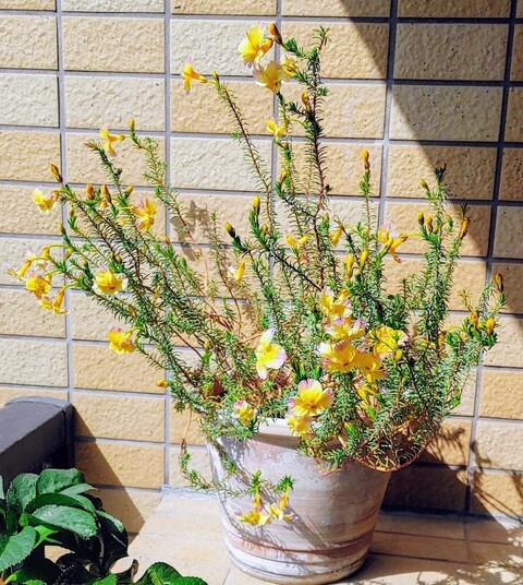 1000517282