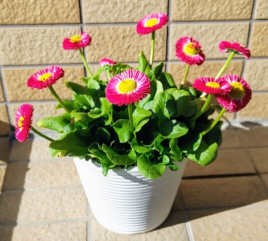 IMG00019~2