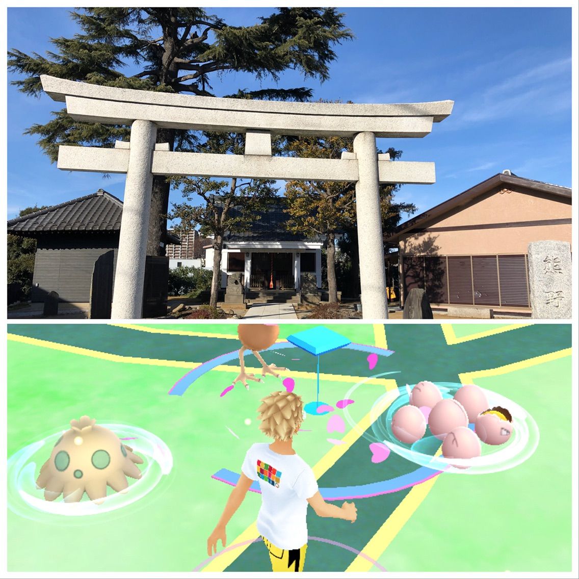 ポケモンgo 18 1 7 2日連続でタマタマ100 なはなし マシャビのゆるログ ポケモンgo 18 1 7 2日連続でタマタマ100 なはなし マシャビのゆるログ