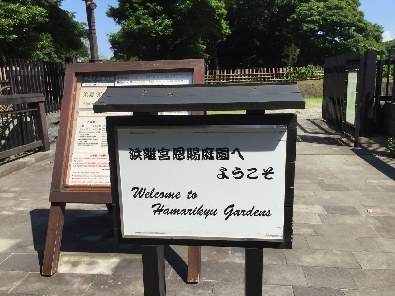 ポケモンgo振り返り日記 マシャビのゆるログ