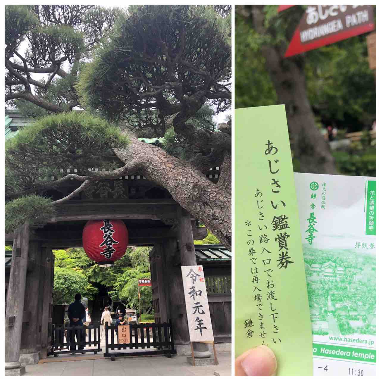 ポケモンgo ダイヤモンド パール マシャビのゆるログ