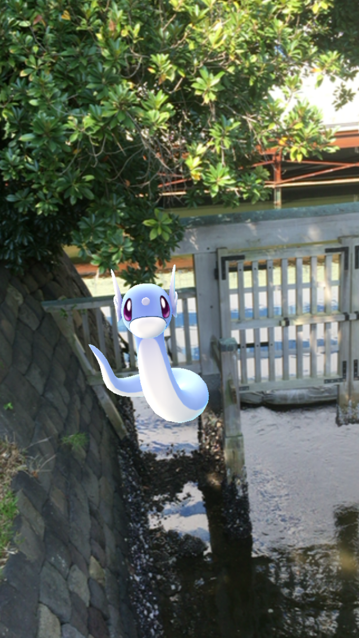 ポケモンgo振り返り日記 マシャビのゆるログ