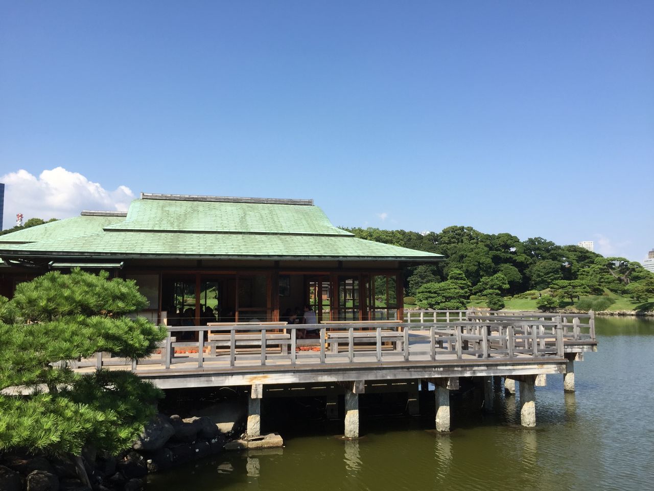 ポケモンgo振り返り日記 マシャビのゆるログ