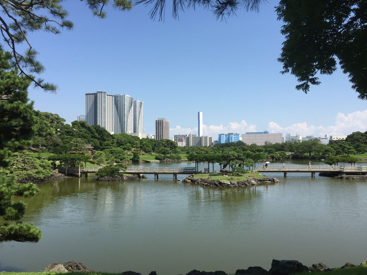 ポケモンgo振り返り日記 マシャビのゆるログ