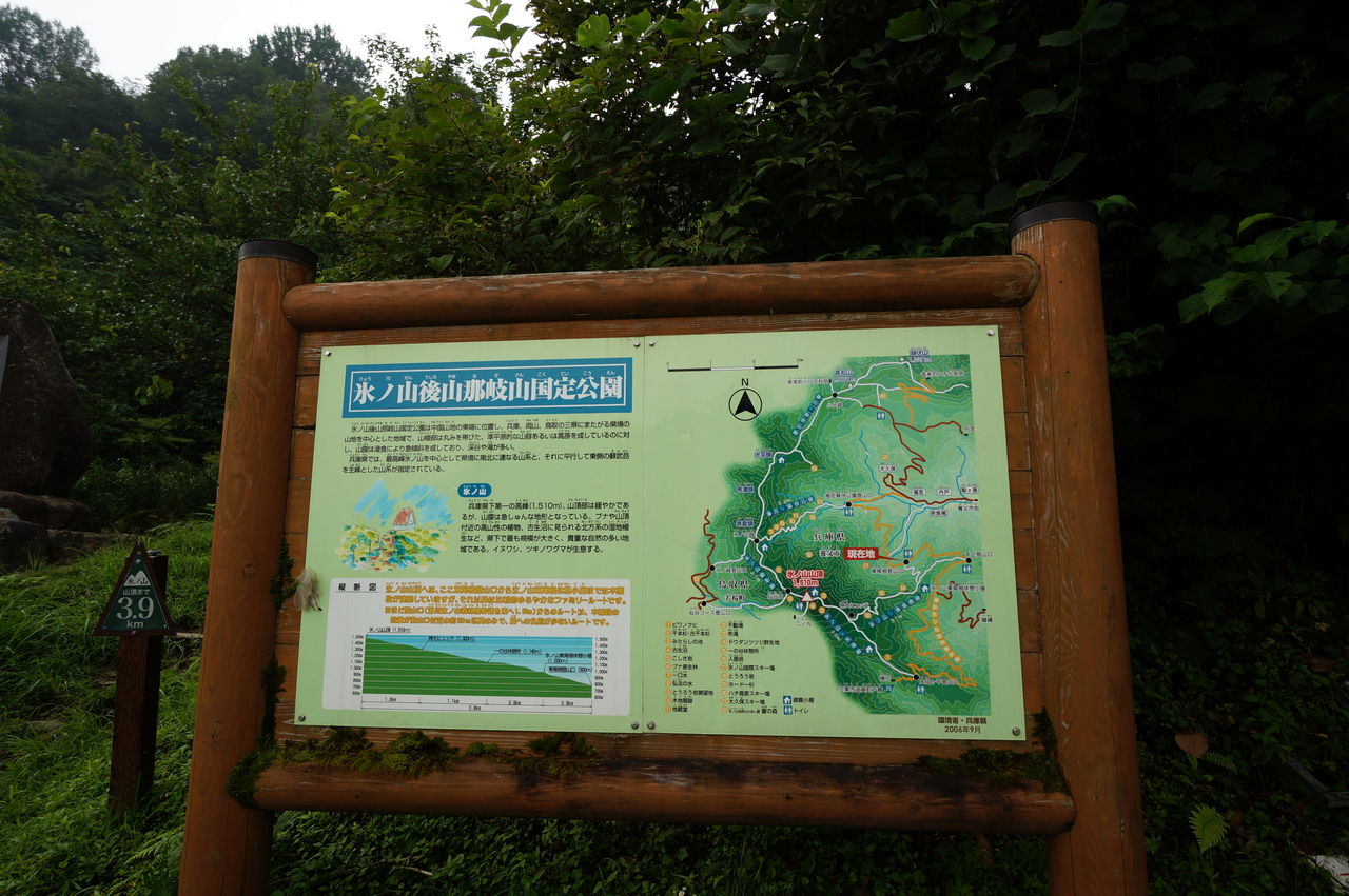 ふるさと兵庫100山 氷ノ山 ましけのブログ エコじゃない複雑ライフのススメ ふるさと兵庫100山 氷ノ山 ましけのブログ エコじゃない複雑ライフのススメ