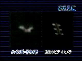 skyfish