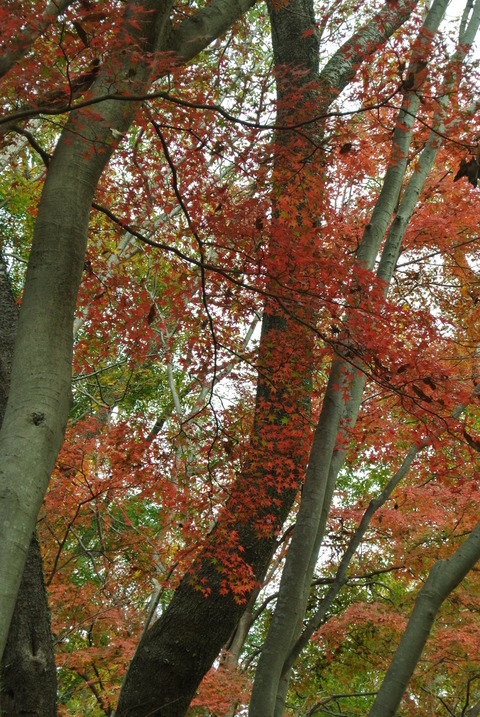 DSC_0754