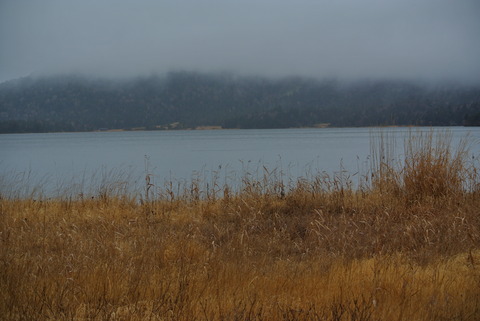 DSC_0206