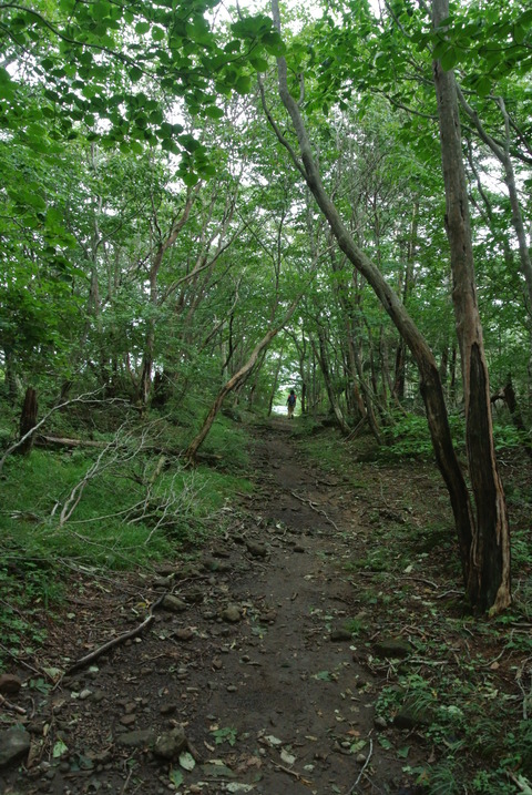DSC_8229