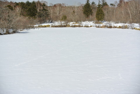 DSC_0940